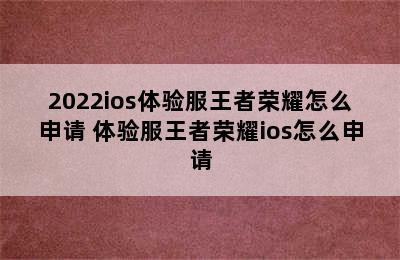 2022ios体验服王者荣耀怎么申请 体验服王者荣耀ios怎么申请